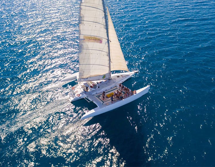 wildcat sunset cruise (small)