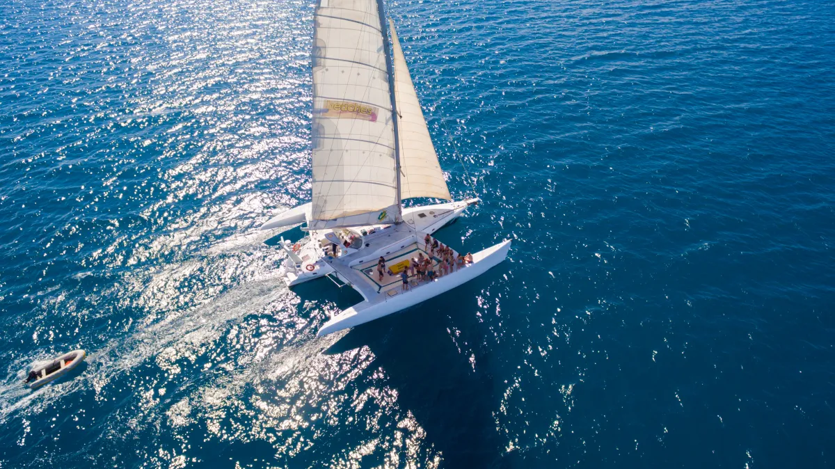 Wildcat Paddleboarding
