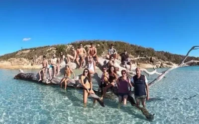 Explore the Whitsundays with OzSail: A Sailing Adventure Like No Other