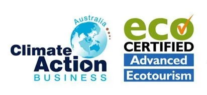 Tree-Hugger-Travel-What-is-eco-tourism-Eco-Certification