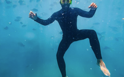 Eye On The Reef: Empowering Reef Conservation in the Whitsundays