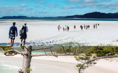 Where are the Whitsundays?